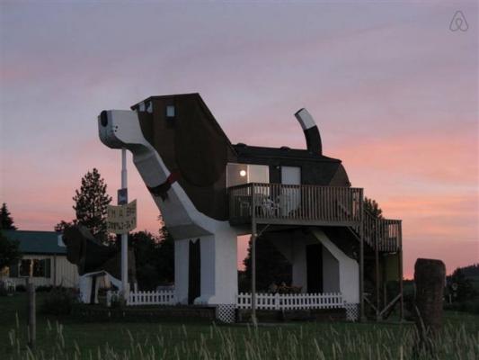 Дом в форме пса, который находится в США